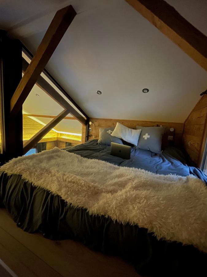 Chalet Mont Blanc Combloux Eksteriør billede