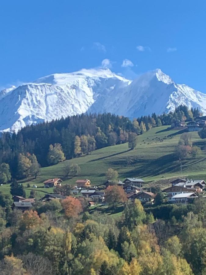 Chalet Mont Blanc Combloux Eksteriør billede